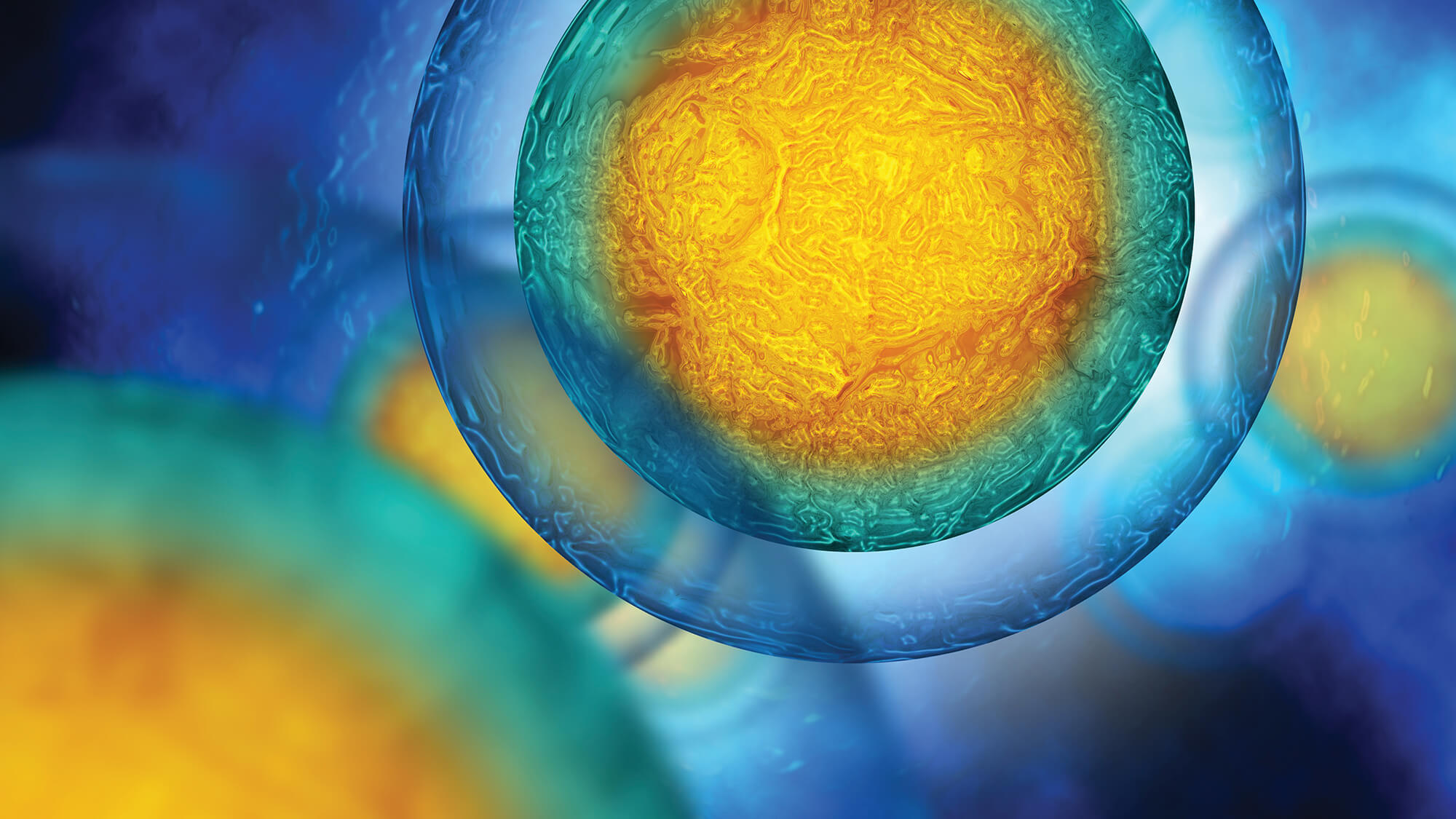 Expression Systems Introduces Chemically Defined Insect Cell Culture