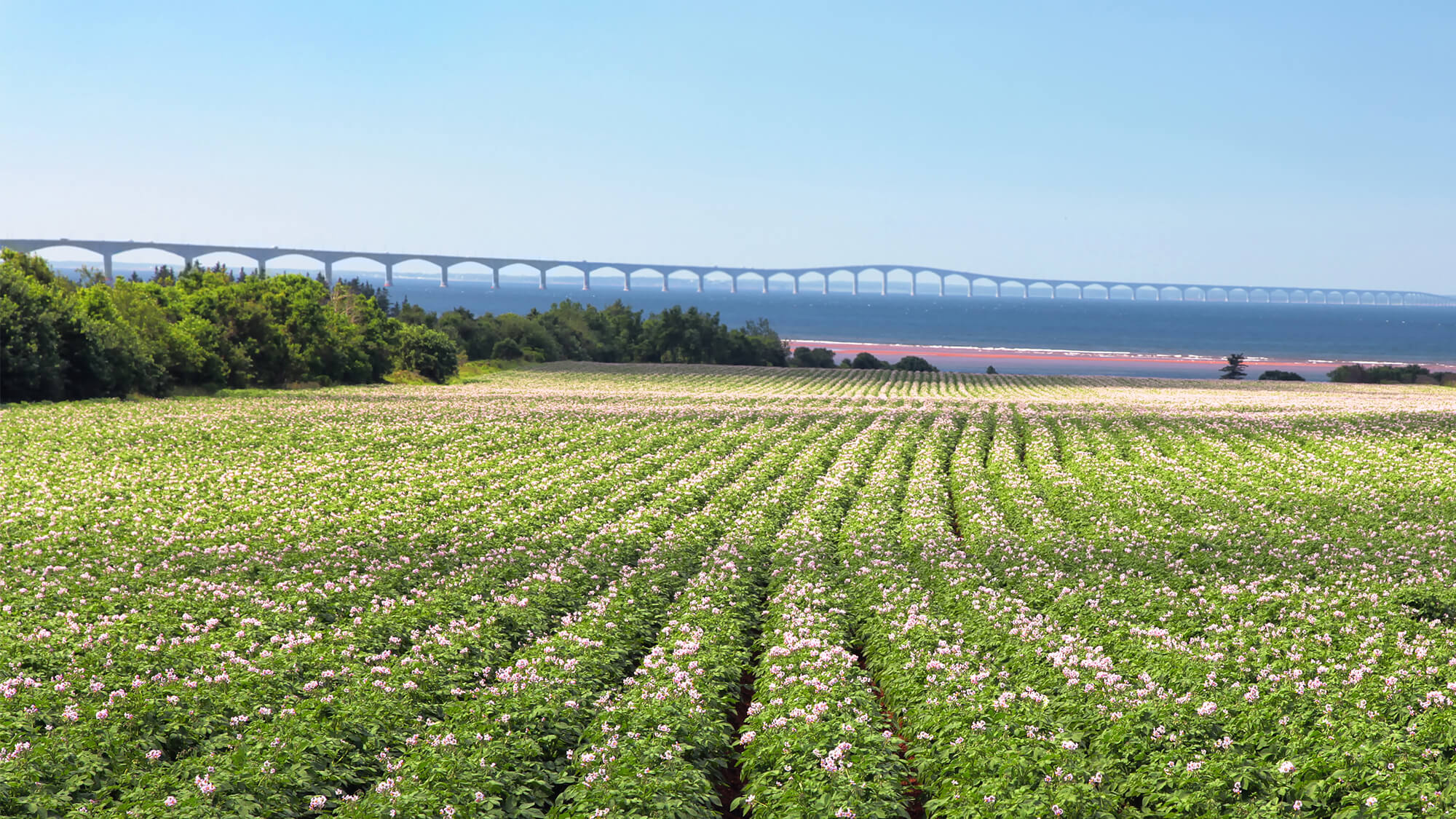 Agriculture - Advancion Sciences